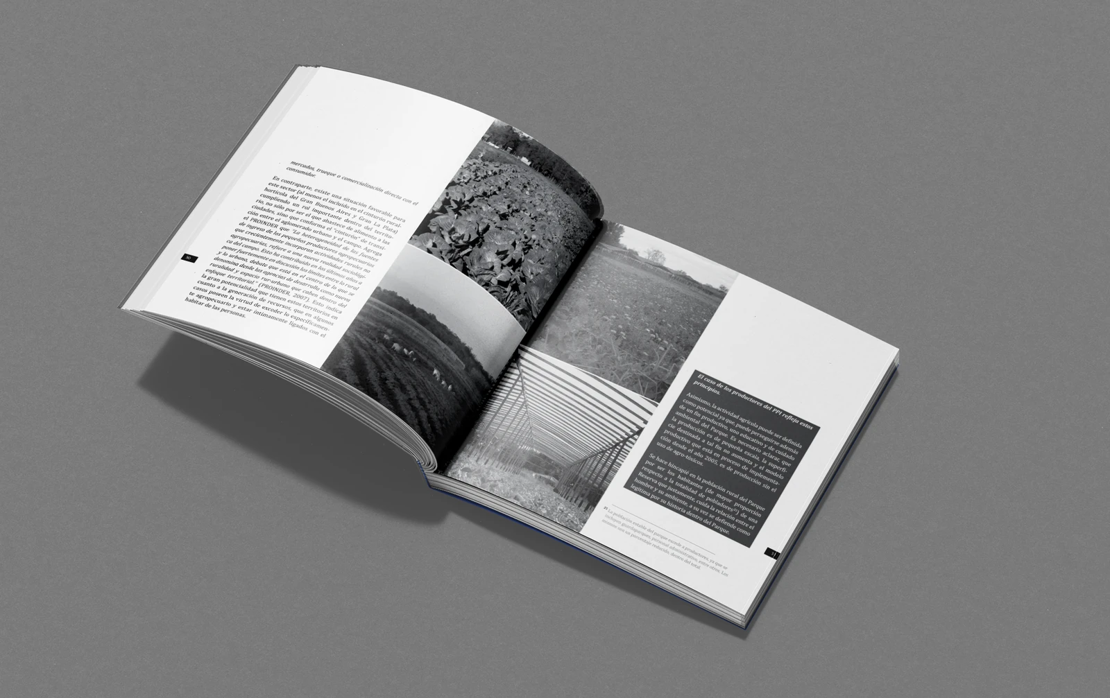 Libro / Equipo de investigación - FAU-UNLP-CONICET – imagen 3 de 7